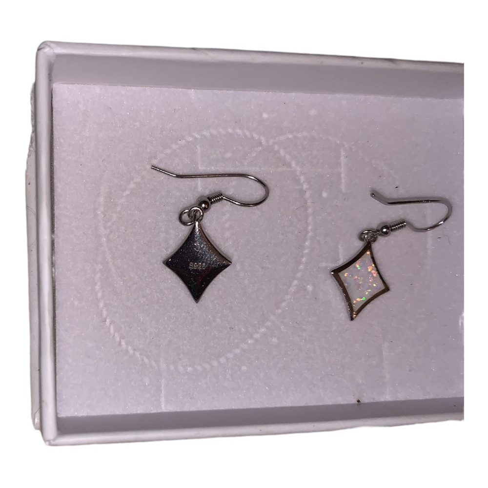 NWT Winnicaca Earrings